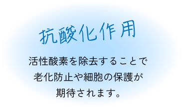 抗酸化作用 活性酸素を除去することで老化防止や細胞の保護が期待されます。