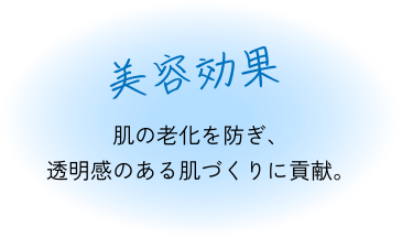 美容効果 肌の老化を防ぎ、透明感のある肌づくりに貢献。