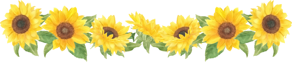 ひまわりの花