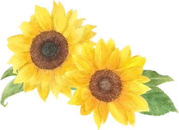 ひまわりの花