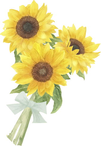 ひまわりの花