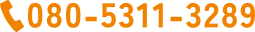 080-5311-3289